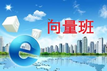 向量班