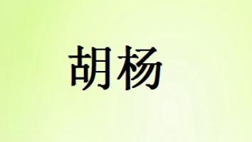 胡杨个性化